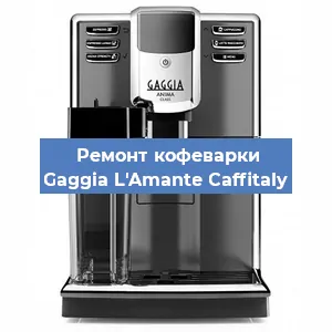 Чистка кофемашины Gaggia L'Amante Caffitaly от кофейных масел в Нижнем Новгороде